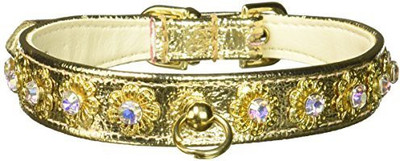 

Mirage Pet Products Dog Everyday Collar(, Multicolor