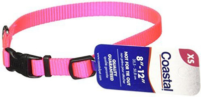 

Coastal Pet Dog Everyday Collar(, Pink