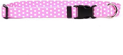 

Yellow Dog Design Dog Everyday Collar(, Multicolor
