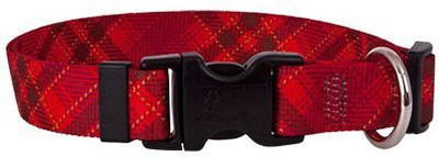 

Yellow Dog Design Dog Everyday Collar(, Multicolor