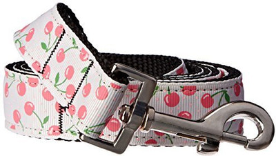 

Mirage Pet Products Dog Collar & Leash(, White