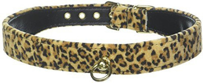 

Mirage Pet Products Dog Everyday Collar(, Multicolor