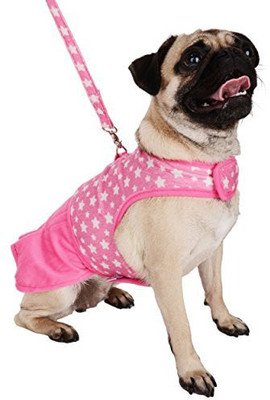 

CUE CUE Pet Dog Harness & Leash(, Multicolor