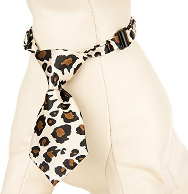 

CUE CUE Pet Dog Everyday Collar(, Multicolor
