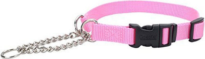 

Coastal Pet Dog Everyday Collar(, Multicolor