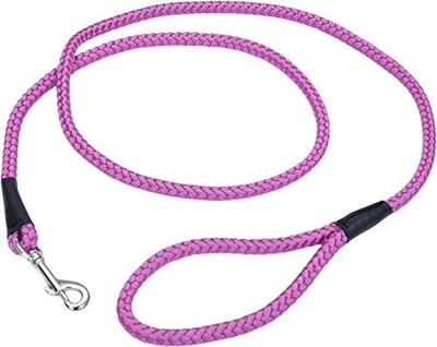 

Coastal Pet Dog Collar & Leash(, Multicolor
