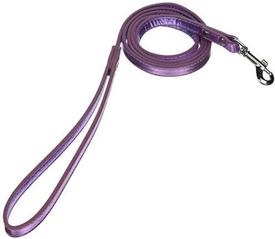 

Mirage Pet Products Dog Everyday Collar(, Purple
