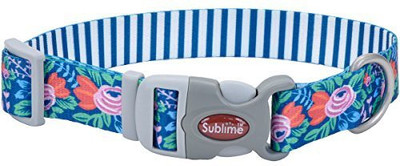 

Coastal Pet Dog Everyday Collar(, Multicolor