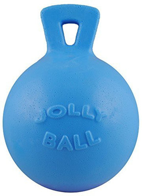 

Jolly Pets 4.5-Inch Tug-N-Toss, Blueberry Plastic Fetch Toy For Dog