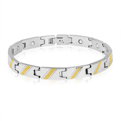 

Magnaz Stainless Steel Titanium, Silver Bracelet, Gold;silver