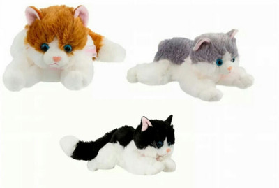 

soniya Enterprises cat - 25 cm(Black, Brown, Grey)