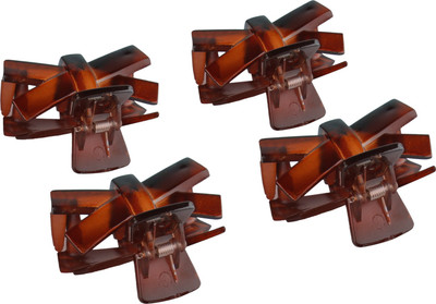 

Franck Provost (France) Butterfly (4 pcs) Hair Claw(Brown)