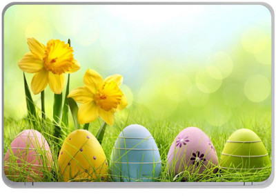 

Ramiya hd easter (3M/Avery Vinyl, Finish-Glossy Laptop Decal 15.6