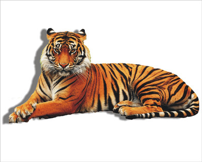 Jump up 90 cm Tiger Self Adhesive Sticker(Pack of 1)