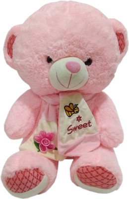 

SATNAM GLOBAL Pink Teddy With Mafler - 40 cm(Pink)