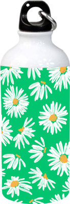 

Kiwis Green Floral Design Aluminium Sipper 600 ml Sipper(Pack of 1, Multicolor), White