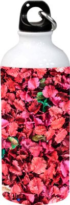 

ESHTYLE Pink Leaf Design Aluminium Sipper 600 ml Sipper(Pack of 1, Multicolor), White