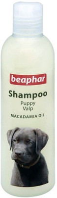 

Beaphar Beaphar Puppy Valp ''MACADAMIA OIL" Puppy Dog Shampoo - 250 Ml (Pack of 1) Conditioning aroma Dog Shampoo(250 ml)