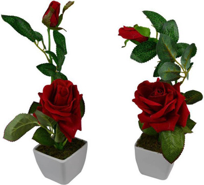 

paradise para-purl-15 Red Rose Artificial Flower with Pot(12 inch, Pack of 1)
