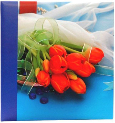 NATRAJ Photo Album 4 x 6 200 Memo Album(Photo Size Supported: 4 x 6)