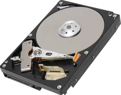 

Intel Seagate 500 GB Surveillance Systems Internal Hard Disk Drive (ST3500312CS)