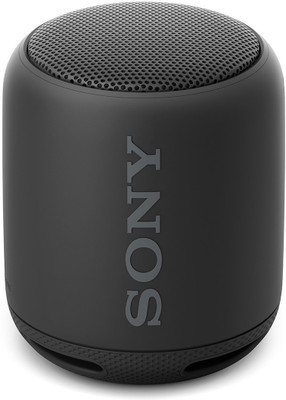 Sony XB10 10 W Portable Bluetooth Speaker(Black, Mono Channel)