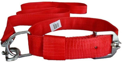 

Furious3D Dog Collar & Leash(, Red