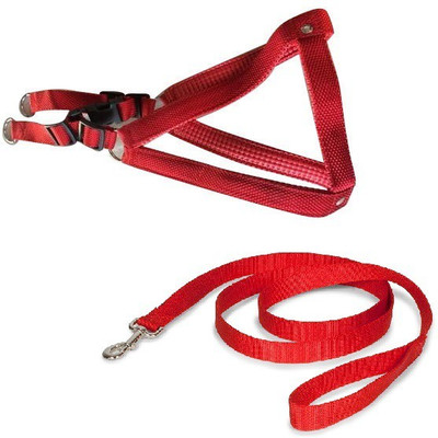 

Furious3D Dog Harness & Leash(, Red