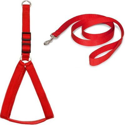 

Furious3D Dog Harness & Leash(, Red