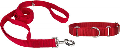 

Furious3D Dog Collar & Leash(, Red
