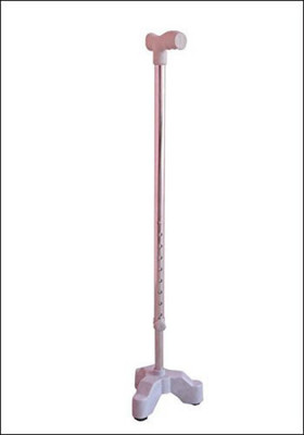

annuva AJY1458 Walking Stick