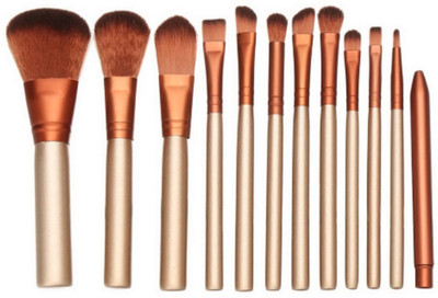 

SKINPLUS Professional Makeup Brush Set(Pack of 12)