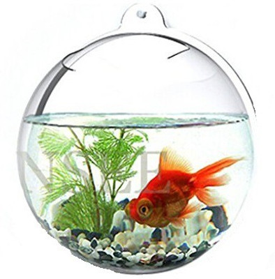 

Aqua 1.5 Fish Bowl