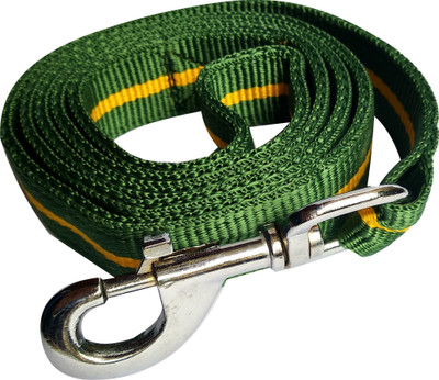 

S.Blaze Dog Collar & Leash(, green