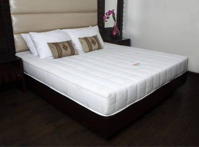 COIRFIT Biolife Visco 10 inch Single Memory Foam Mattress  (L x W: 72 inch x 30 inch)