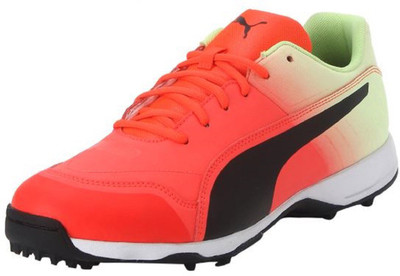 Puma Evo Speed one8 R Fade Cricket Shoes For Men(Orange, Green