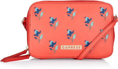 

Caprese Women Casual Multicolor PU Clutch