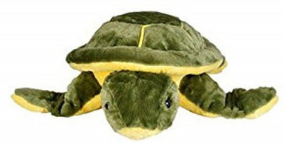 

GAMERPOINT Green Color Tur-tur For the Kids . - 11 cm(Black)