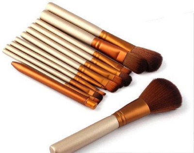 Skinplus make up brush kit (Pack of 12)(Pack of 12)
