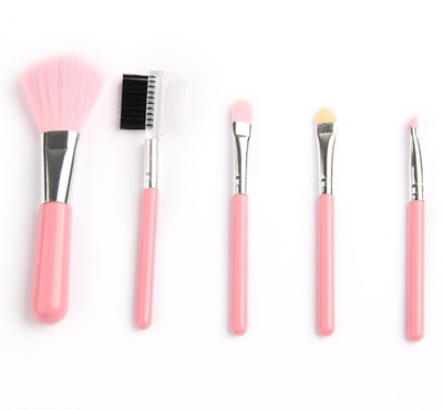 

Traveltubes 5Pcs Mini Makeup Brushes Cosmetics Tools Pink Eyeshadow Eye; Face Lipstick Makeup Brush Set Blush Soft Brushes(Pack of 5)