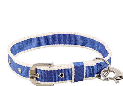 

W9 High Quality Color Combo Leash And Collar Set For Puppy -0.7 Inch Dog Collar & Leash(, Blue