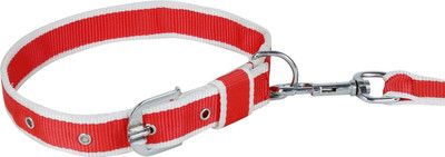 

W9 High Quality Color Combo Leash And Collar Set For Puppy -0.7 Inch Dog Collar & Leash(, Red