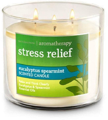 

Bath and Body Works Stress Relief - Eucalyptus Spearmint(411 g)
