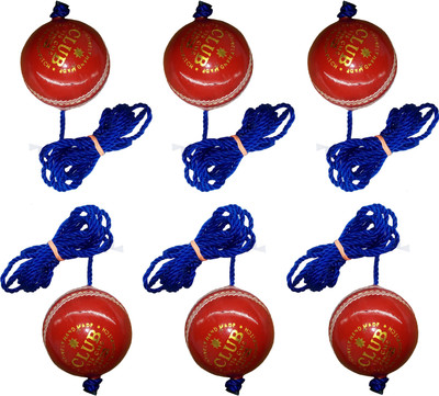 

Diablo Sports Leather Club Practice Hanging Cricket Ball Red Pack of 6 Cricket Training Ball(Pack of 6, Red)
