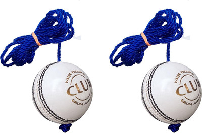 

Diablo Sports Leather Club Practice Hanging Cricket Ball White Pack of 2 Cricket Training Ball(Pack of 2, White)