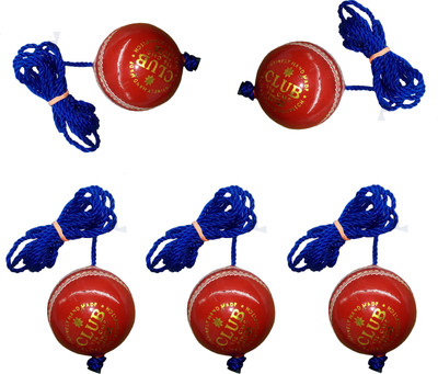 

Diablo Sports Leather Club Practice Hanging Cricket Ball Red Pack of 5 Cricket Training Ball(Pack of 5, Red)