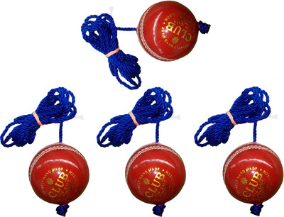 

Diablo Sports Leather Club Practice Hanging Cricket Ball Red Pack of 4 Cricket Training Ball(Pack of 4, Red)