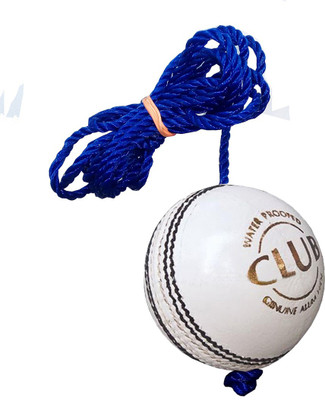 

Diablo Sports Leather Club Practice Hanging Cricket Ball White Cricket Training Ball(Pack of 1, White)