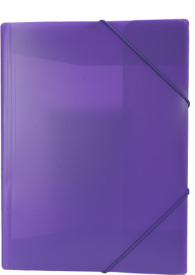 

Enwraps Plastic Document File(Set Of 6, Purple)