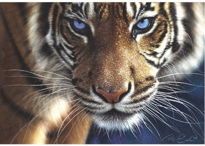 

FX Schmid Puzzle for an Evening, Blue Eyes 250 Piece(50 Pieces)